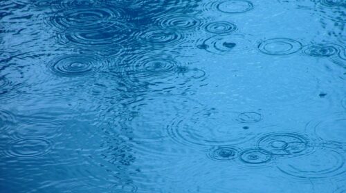 Rain Ripples